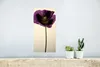 MuchoWow® Poster Nahaufnahme eines violetten Mohns 20x40 cm Produktbild-Vorschau 5