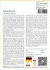 SAFLAX - Passionsfrucht - Passiflora edulis - 40 Samen Produktbild-Vorschau 3