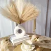 6er Set Pampasgras Kunstblumen 50 cm Boho Deko für Zuhause Produktbild-Vorschau 3