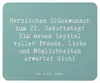 Mr. & Mrs. Panda Mauspad Spruch 22. Geburtstag - Produktbild-Vorschau 1