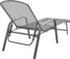 vidaXL Bain de soleil acier anthracite Voir les images du produit 3