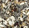 Beduco 15kg Papageien-Zucht Nr.62 Produktbild-Vorschau 4