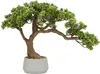 Atmosphera | Bonsai - Zimmerpflanze - 45 x 32 x 60 cm - Produktbild-Vorschau 1