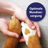 Canosept Wundspray für Hunde 75ml - Zur Reinigung und Produktbild-Vorschau 3