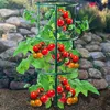 4er Set Rankhilfe Verstellbarer Tomatenturm Rankturm für Produktbild-Vorschau 8