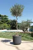 EDA 013721 G.ANT CX EDA BASALT UP fioriera, rotonda, 385 Anteprima dell’immagine prodotto 3