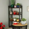 A corner of a room with a shelving unit filled with various potted plants and decorative items, and a small table with a teacup and saucer. Anteprima dell’immagine prodotto
