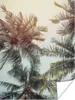 MuchoWow® Poster Palme - Sommer - Tropisch 90x120 cm - Produktbild-Vorschau 1