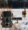 Kamera na sledovanie zveri Full HD 16 MP, nočné videnie, Náhľad obrázku produktu 3