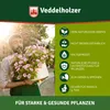 Veddelholzer 750 ml Premium kaltgepresstes 100% natürliches Produktbild-Vorschau 2