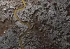 Vlies Fototapete - Rome and Tiber 350x256 cm Karten Produktbild-Vorschau 5