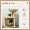 PawHut Arbre à chat griffoir, arbre à grimper pour chat, en Voir les images du produit 3