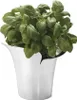 Bloom Botanica Blumentopf klein140mm, Edelstahl Produktbild-Vorschau 1