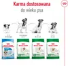 ROYAL CANIN Mini Adult 4kg Podgląd zdjęcia produktu 8