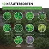 Kräutersamen Set - 10 Sorten Samen - Saatgut Sortiment - Produktbild-Vorschau 3