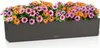 Lechuza Samozavlažovací truhlík Balconera Stone 100 cm, Náhled obrázku produktu 4