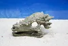 Amtra Drachen-Schädel – Außergewöhnliche Aquarium-Deko Produktbild-Vorschau 2