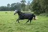 BUCAS Irish Turnout 50g + NECK black/gold Regendecke Produktbild-Vorschau 10
