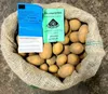 Pflanzkartoffeln B I O-Antonia 10 kg Setzling Produktbild-Vorschau 1