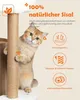Luxus Kratzbaum mit 2-stöckiger Kratztonne | Katzenbaum mit Produktbild-Vorschau 2