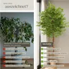 tectake® Künstlicher Ficusbaum Fida verschiedene Größen Produktbild-Vorschau 4