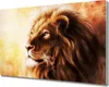 Coloray Schneidebrett Herdabdeckplatte 80x52 cm Produktbild-Vorschau 1