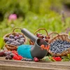 GARDENA combisystem-Beerensammler Produktbild-Vorschau 6
