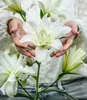 BALDUR Garten Duft-Lilien 'Lotus Mix', 4 Zwiebeln, große, Produktbild-Vorschau 5