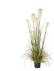 Mica Decorations Federgras Foxtail Kunstpflanze - H150 x Produktbild-Vorschau 1