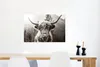MuchoWow® Poster Schottischer Highlander - Kuh - Tiere - Produktbild-Vorschau 5