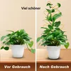 Zimmerpflanzen-Rankhilfe Gold,Metallstütze für Monstera, Produktbild-Vorschau 4