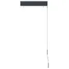 vidaXL Tenda a rullo per esterni 60 x 250 cm antracite Anteprima dell’immagine prodotto 4