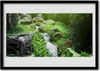 Bild 70x50 MDF-Rahmen Wandkunst Strom Gras Natur Pflanze Produktbild-Vorschau 1