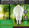 Paulmann Eco-Line Filament 230V LED Birne Einzelleuchte Produktbild-Vorschau 3