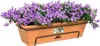 A planter box filled with purple flowers. Produktbild-Vorschau