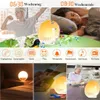 Tageslichtwecker, 18 Lichtfarben, 20 Helligkeitsstufen, Produktbild-Vorschau 7