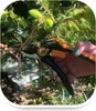 Solid L Amboss-Gartenschere P361 (orange/schwarz) Produktbild-Vorschau 5