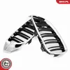 ESEN SKV 66SKV152 Griglia anteriore per BMW 4 Gran Coupé Anteprima dell’immagine prodotto 9