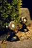 Oase Unterwasserbeleuchtung LunAqua Mini LED warm Produktbild-Vorschau 7