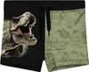 Jurassic World Badehose für Jungen - Dinosaurier Kinder Produktbild-Vorschau 1