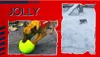 Jolly Hundespielzeug Fußball orange, Größe: XS Produktbild-Vorschau 6