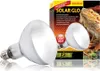 A product shot of a reptile heat lamp and its packaging. Produktbild-Vorschau