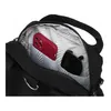 Borse Peterson PTN3306CO71133 Anteprima dell’immagine prodotto 11