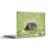 MuchoWow® Laptop Aufkleber Sticker Cover Kleiner Igel im Produktbild-Vorschau 1