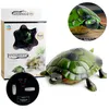 Ferngesteuertes Spielzeug, RC-Schildkröte mit Produktbild-Vorschau 1