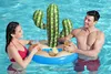 Bestway 43244, Modrá, Zelená, Obrázok, PVC, Cactus, 67 cm, Náhľad obrázku produktu 8