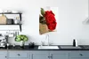 MuchoWow® Poster Rote Rosen auf einem weißen Hintergrund Produktbild-Vorschau 3