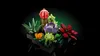 LEGO® Botanicals (Creator Expert) Sukkulenten--10309 Voir les images du produit 15