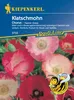 KIEPENKERL Papaver rhoeas Chorus Produktbild-Vorschau 1