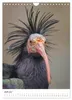 Der Waldrapp - Der etwas andere Vogel (Wandkalender 2027 Produktbild-Vorschau 9